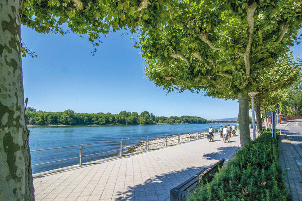 Ein Fluss mit grüner Umgebung
