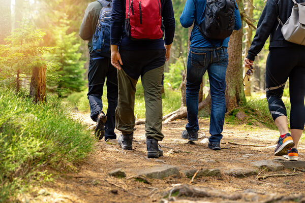 Wandernde auf einem Waldweg.