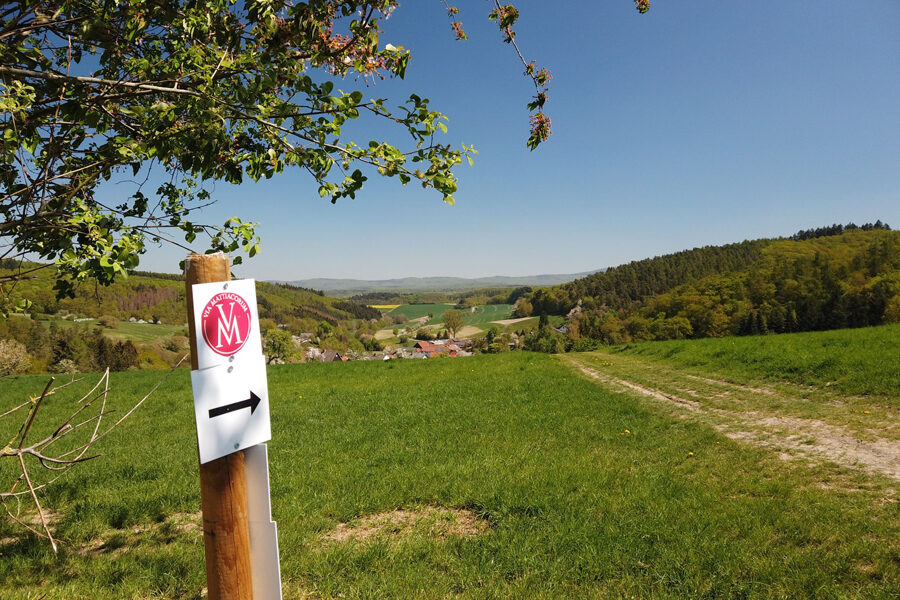 Via Mattiacorum von Idstein nach Wiesbaden oder umgekehrt ein herrlicher Wanderweg.