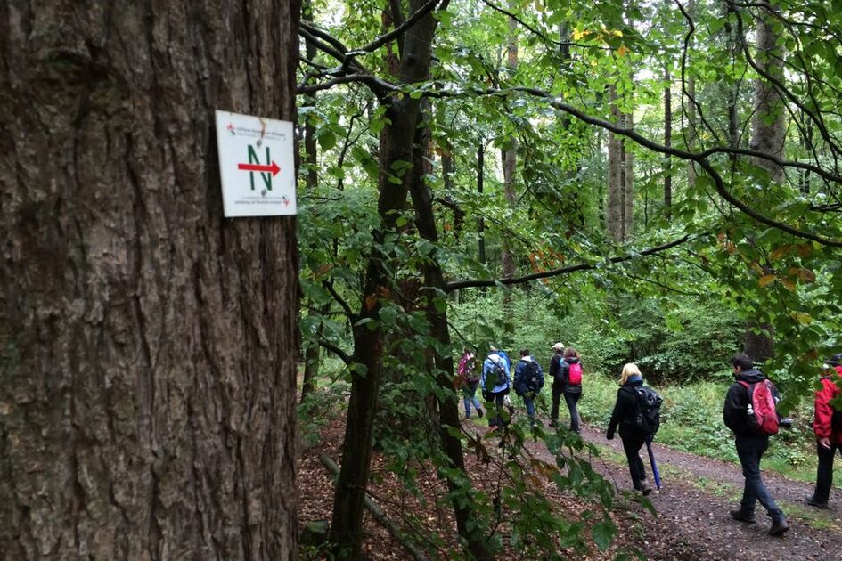 Zahlreiche Wege bieten Wanderern abwechslungsreiche Touren.