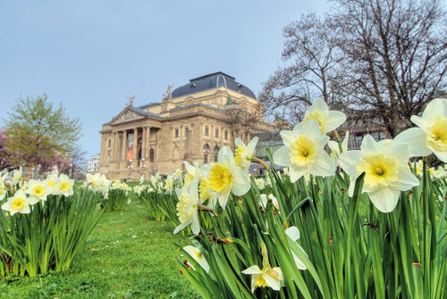 Hessisches Staatstheater