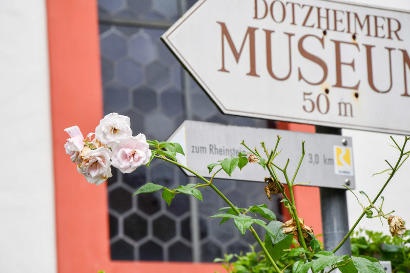 Dotzheimer Museum