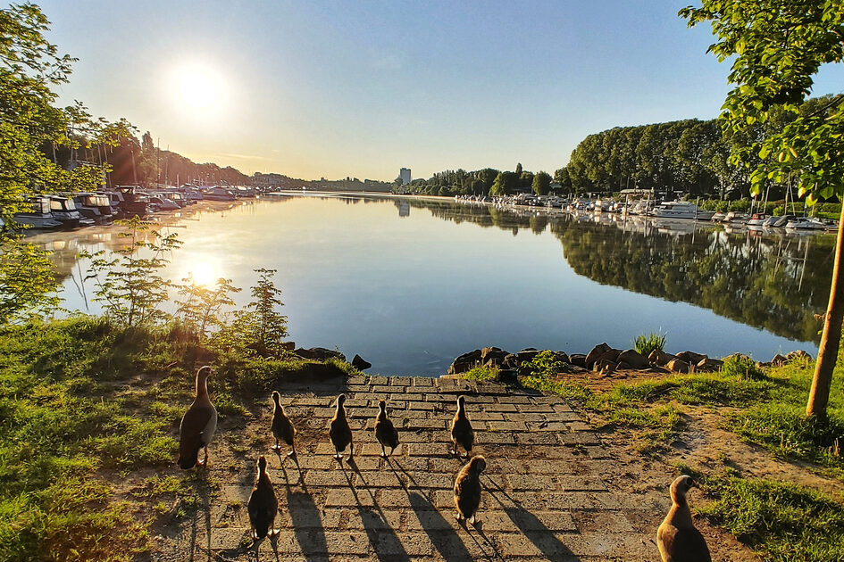 26 Orte - 26 Geschichten - Schierstein