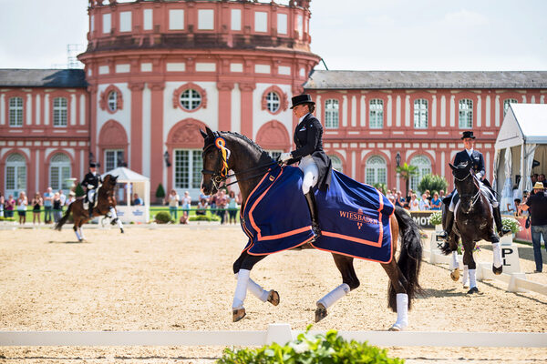Frau auf einem Pferd im Hintegrund ein Schloss