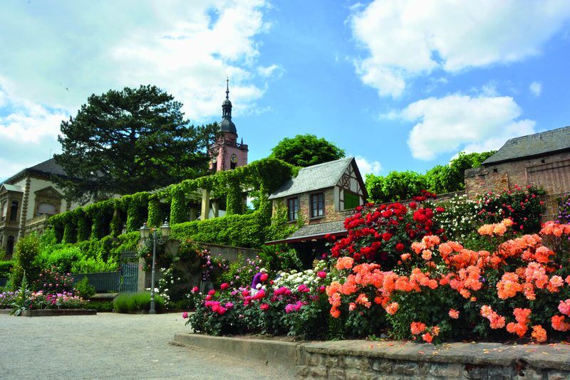 Eltville am Rhein