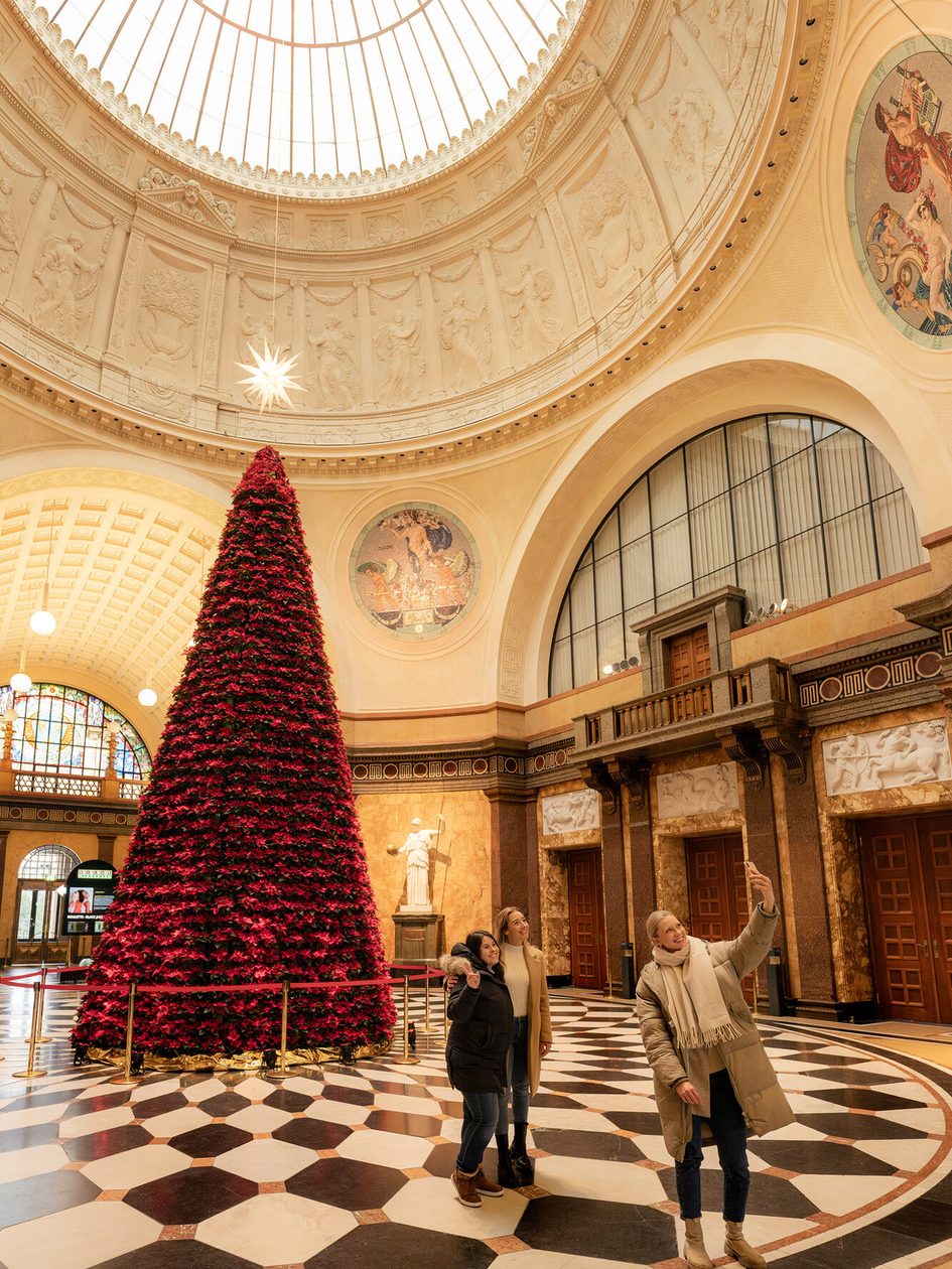 Der Weihnachtssternbaum im Kurhaus