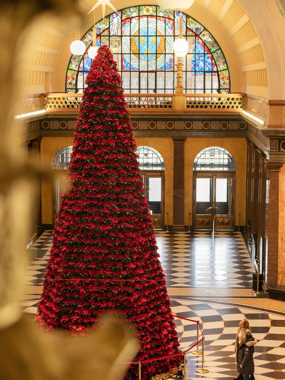 Der Weihnachtssternbaum im Kurhaus
