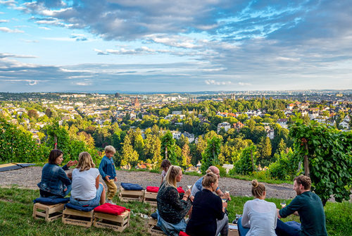 Weinbau im Rheingau und in Wiesbaden