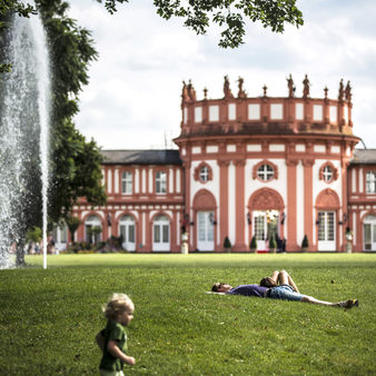 für Parkserie: Schlosspark Biebrich, Wiesbaden, Bild x von 10