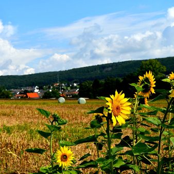 Breckenheim im Osten Wiesbadens gelegen.