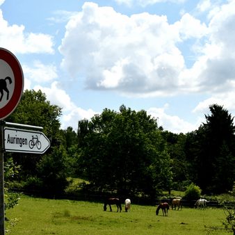 Auringen ist ein Ort im Grünen