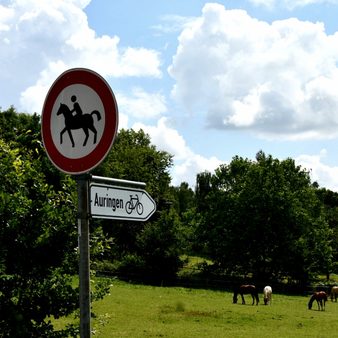 Auringen ist ein Ort im Grünen