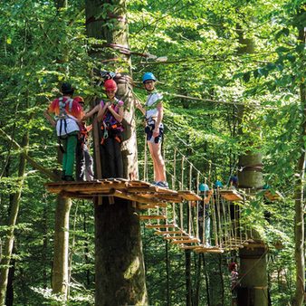 Erwachsene stehen auf Baum-Plattform im Kletterwald