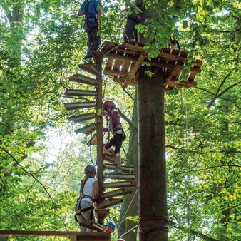 Treppenstufen am Baumstamm