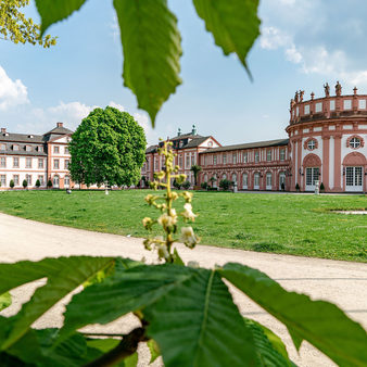 Kastanienblüte im Schlosspark Biebrich