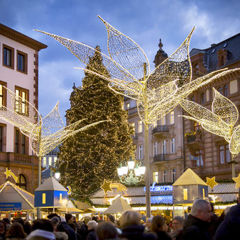 Weihnachtsbaum und Rathaus beim Sternschnuppenmarkt in Wiesbaden