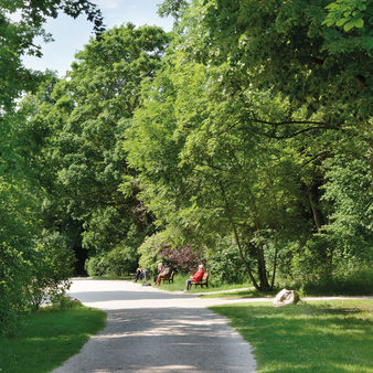 Grüne Rückzugsorte im Park