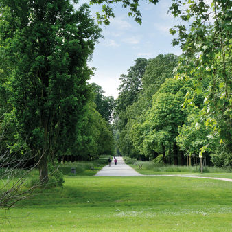 Saftige Wiesen und grüne Bäume im Park