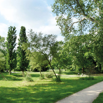 Wiesen und Bäume im Schlosspark Biebrich