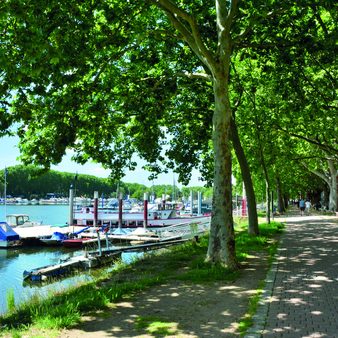 Hafen in Schierstein