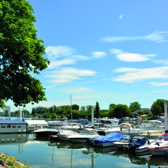 Hafen in Schierstein