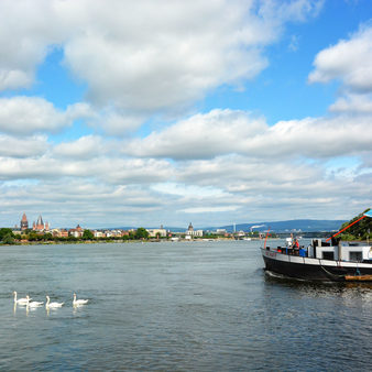 Blick aus Kostheim nach Mainz