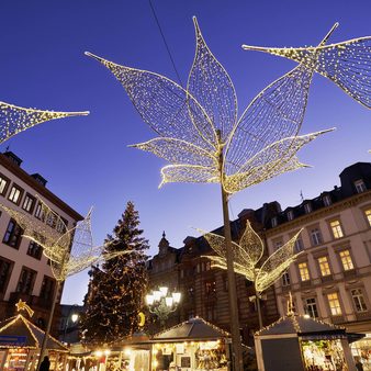 Beleuchtete Lilien und Rathaus beim Sternschnuppenmarkt in Wiesbaden