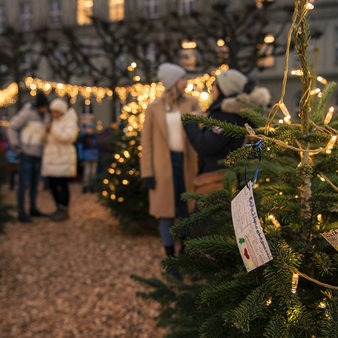 Beleuchteter Baum mit handgeschriebenen Zetteln und Menschen im Hintergrund.