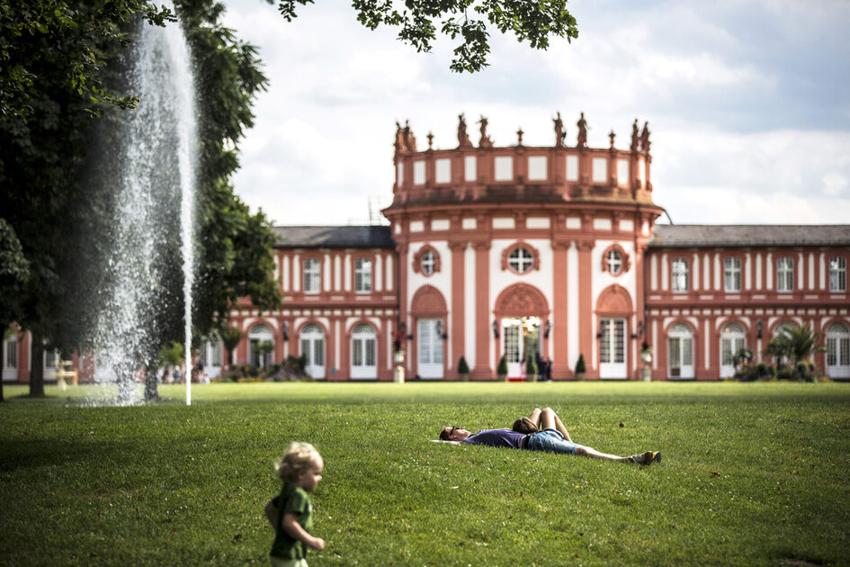 pour la série de parcs : Schlosspark Biebrich, Wiesbaden, image x de 10