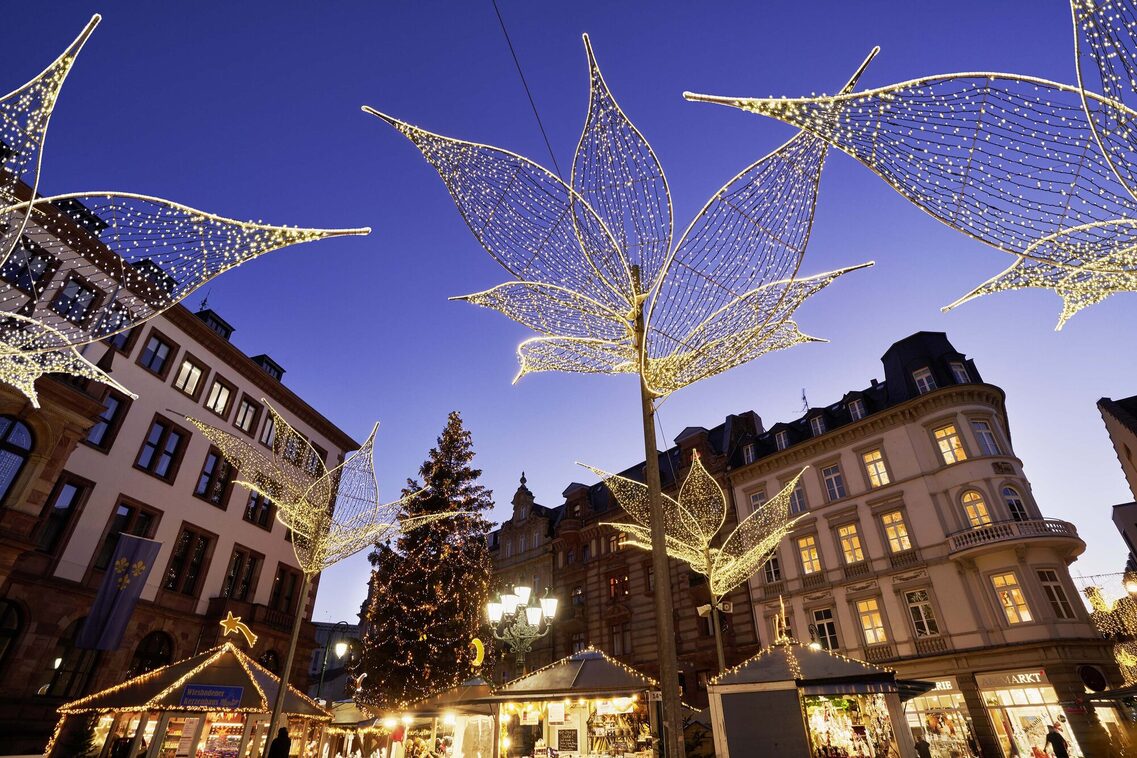 Beleuchtete Lilien und Rathaus beim Sternschnuppenmarkt in Wiesbaden