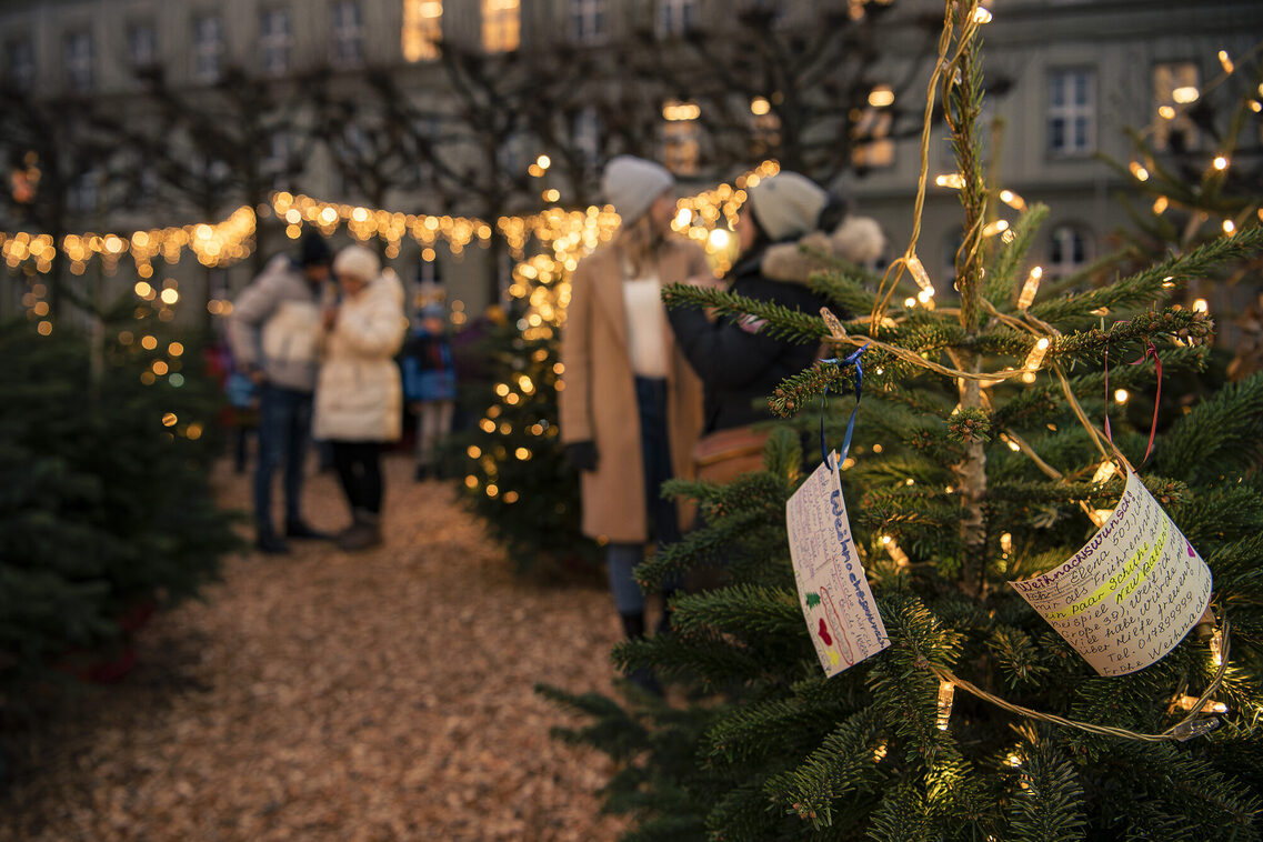 Beleuchteter Baum mit handgeschriebenen Zetteln und Menschen im Hintergrund.