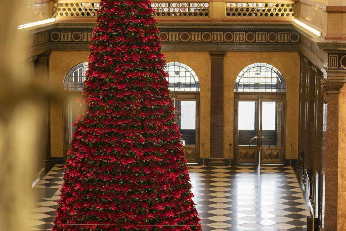 Arbre de Noël dans la maison de cure
