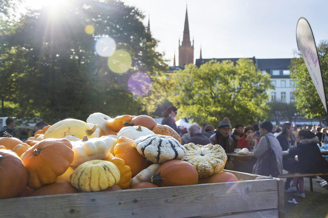 Wiesbadener Stadtfest