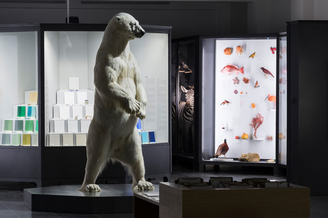 Standing polar bear in the natural history section of the Museum Wiesbaden