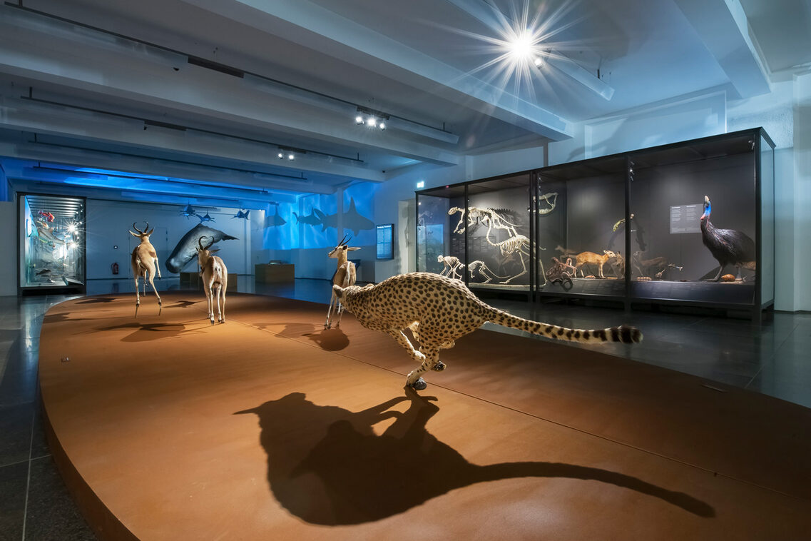 Natural History Museum