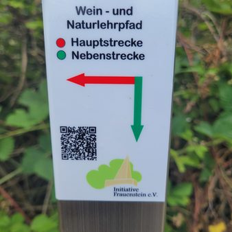 Wein- und Naturlehrpfad - Herrlicher Blick über die heimischen Weinberge.