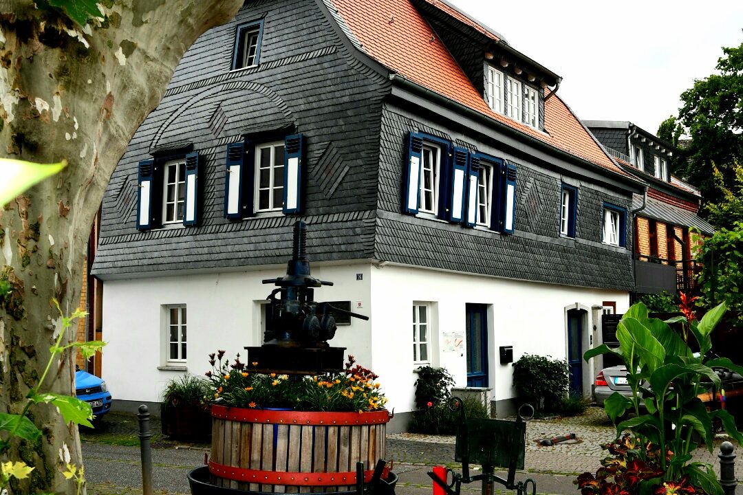 Dotzheim