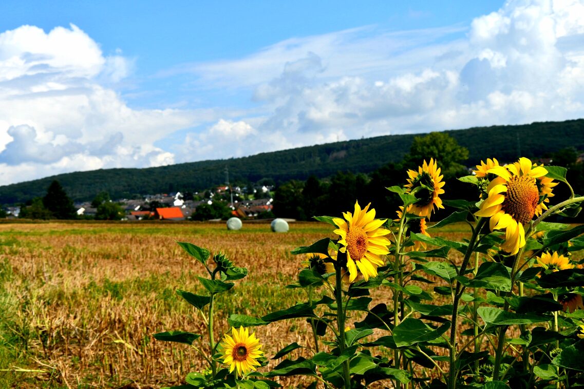 Breckenheim im Osten Wiesbadens gelegen.