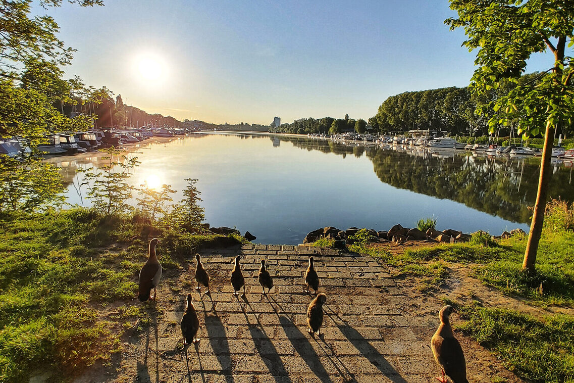 Hafen in Schierstein