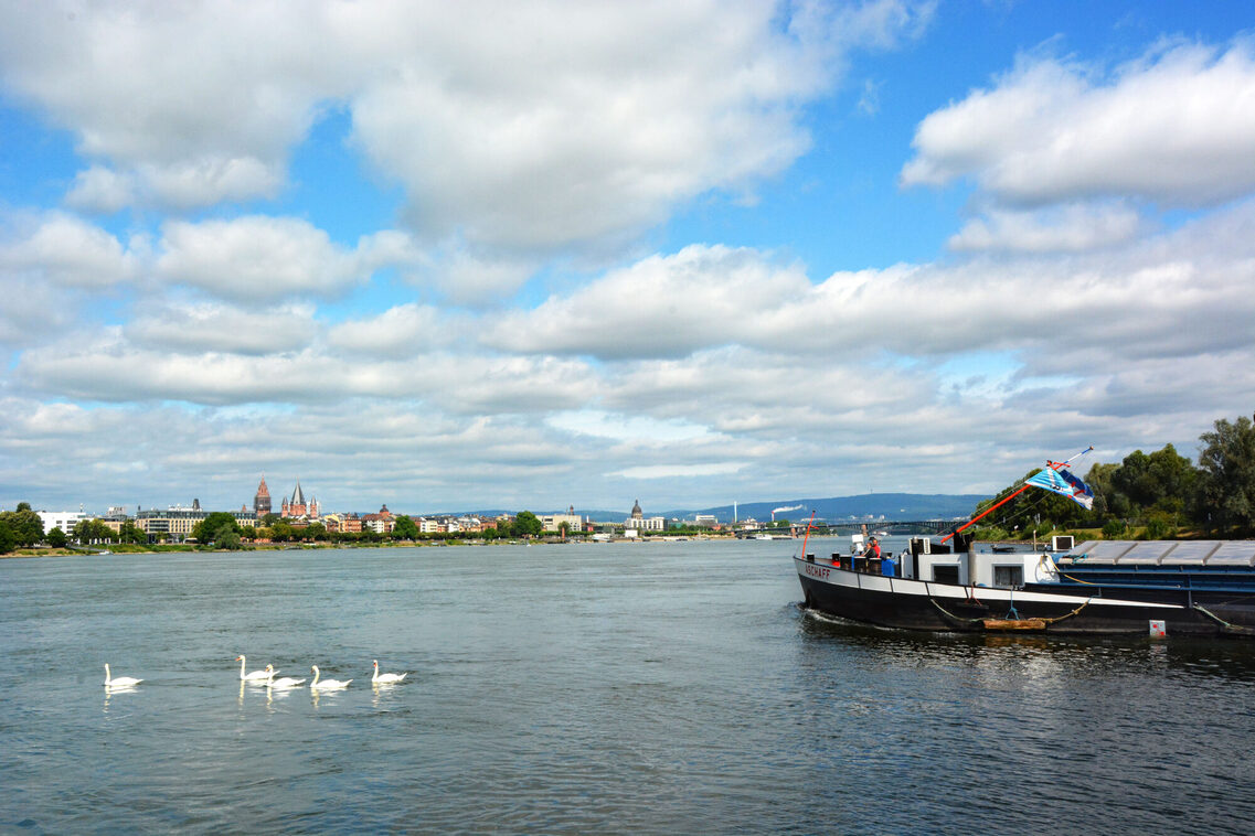 Blick aus Kostheim nach Mainz