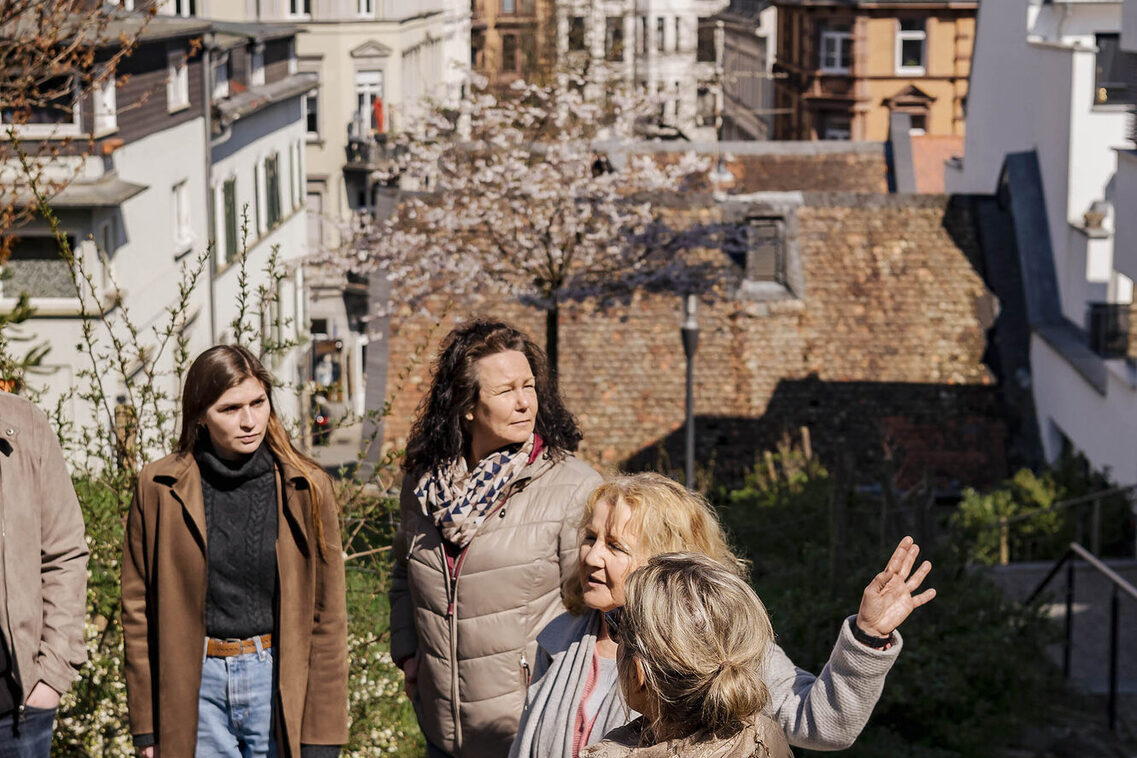 View over Wiesbaden's rooftops during a guided tour