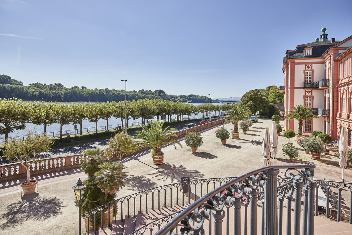 View of the Rhine from the steps of Biebrich Palace