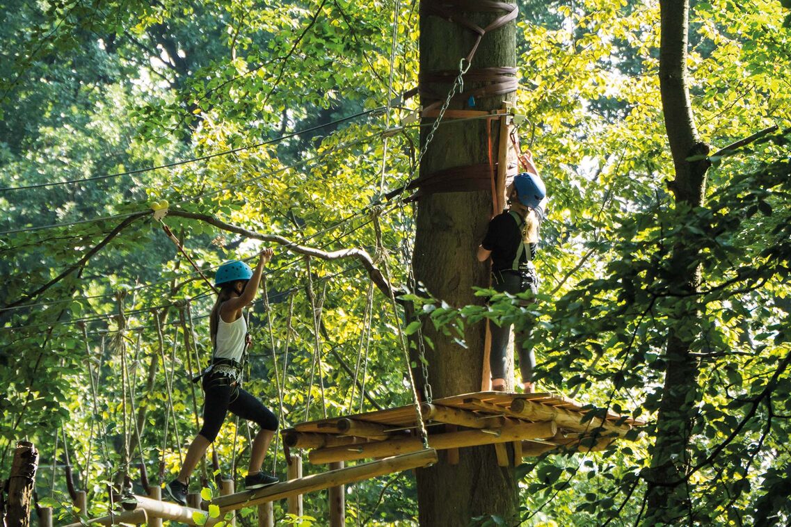 Kinder klettern auf Baumwipfel