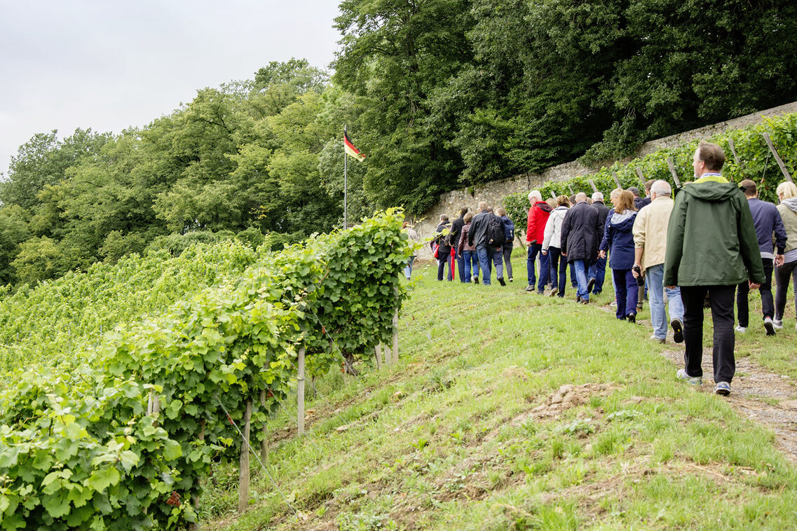 Guided hike on the Neroberg