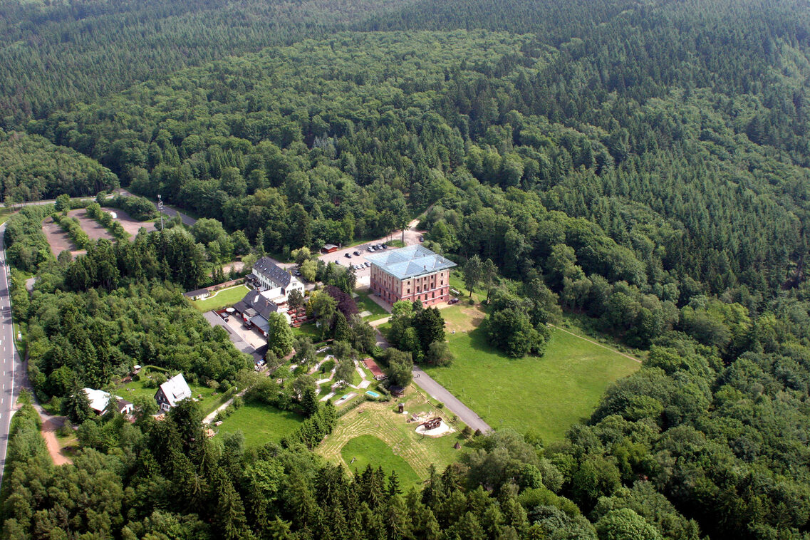 Gelände und Jagdschloss Platte aus der Luft