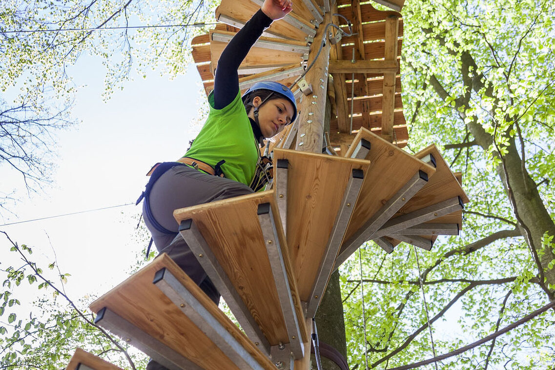 Holzleiter am Baumstamm wird erklommen