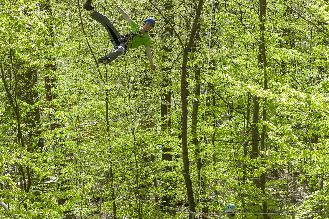 Teilneher lassen sich abseilen zwischen Bäumen
