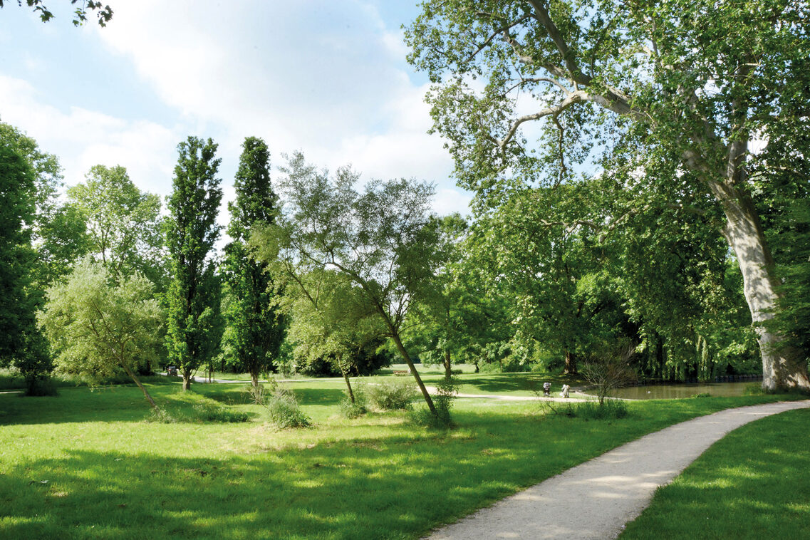 Meadows and trees in Biebrich Palace Park