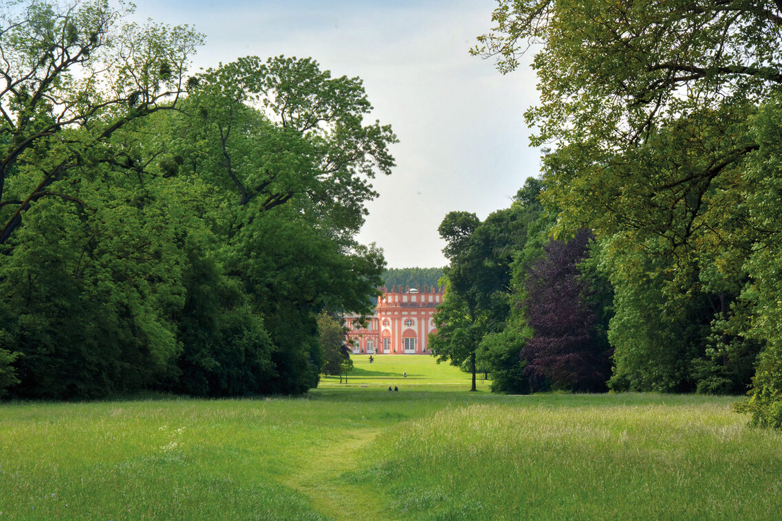 Lush greenery in Biebrich Palace Park