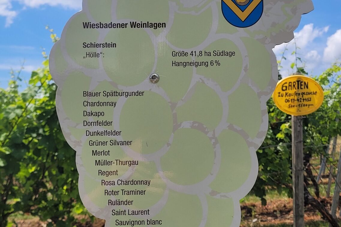Wein- und Naturlehrpfad - Herrlicher Blick über die heimischen Weinberge.